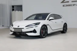 Denza Z9GT DM