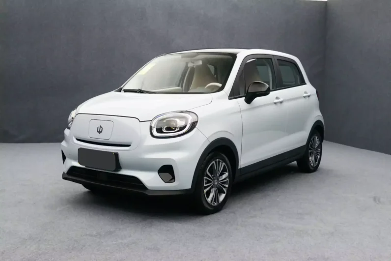 
								Leapmotor T03 full									