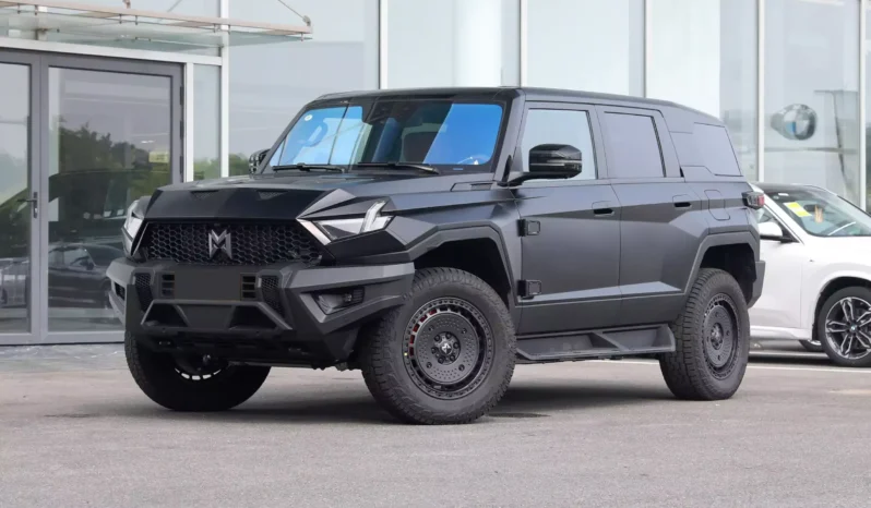
								M-Hero 917 EV full									