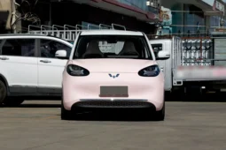 Wuling Bingo